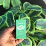 Dr rashel green tea clay stick 42g